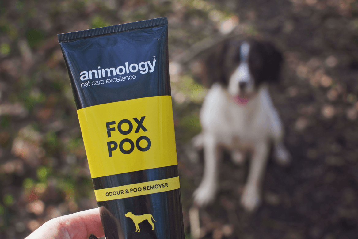 animology fox poo shampoo